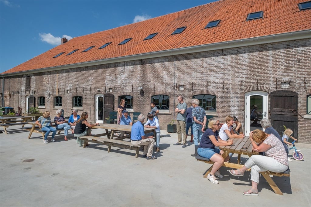 Brielse Boer - Zwartewaal31.jpg