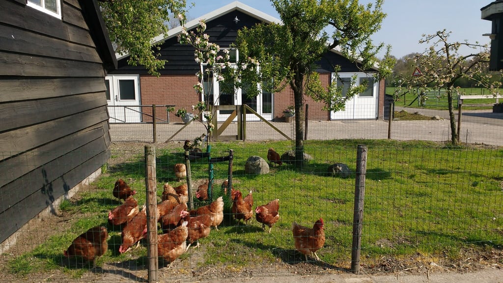 Zaal IJsvogel buitenaanzicht