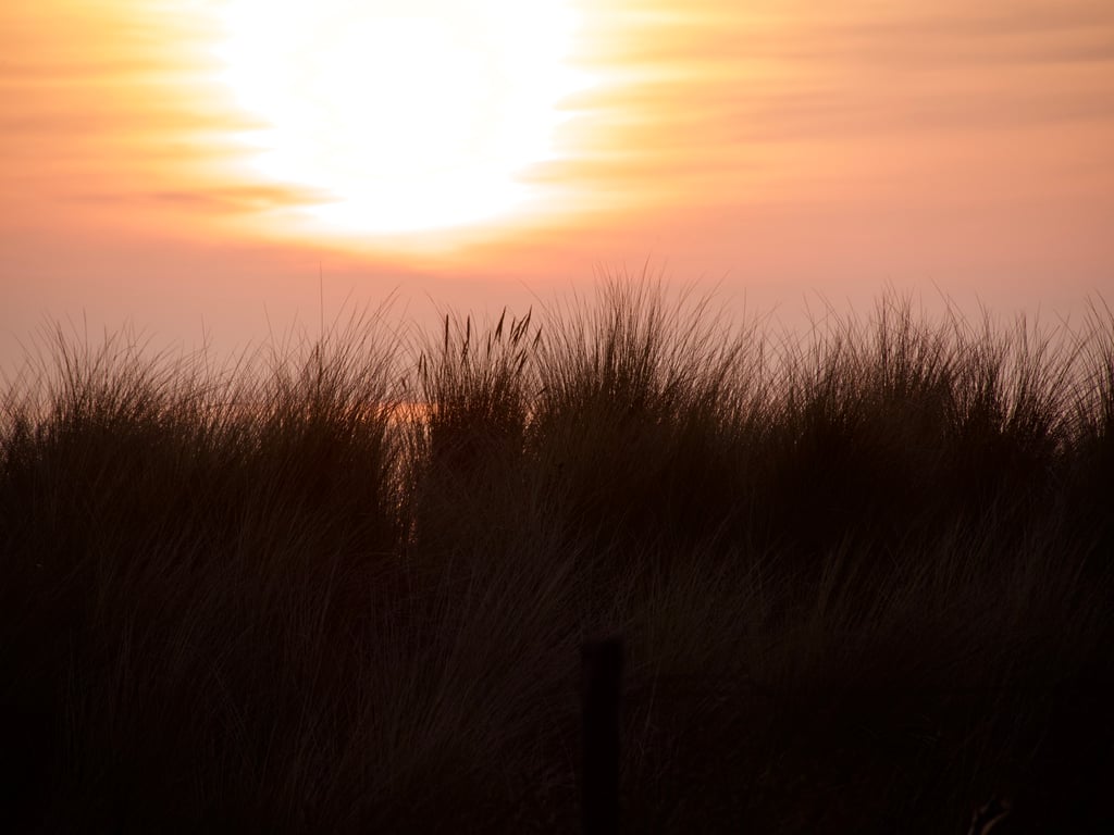Duinen