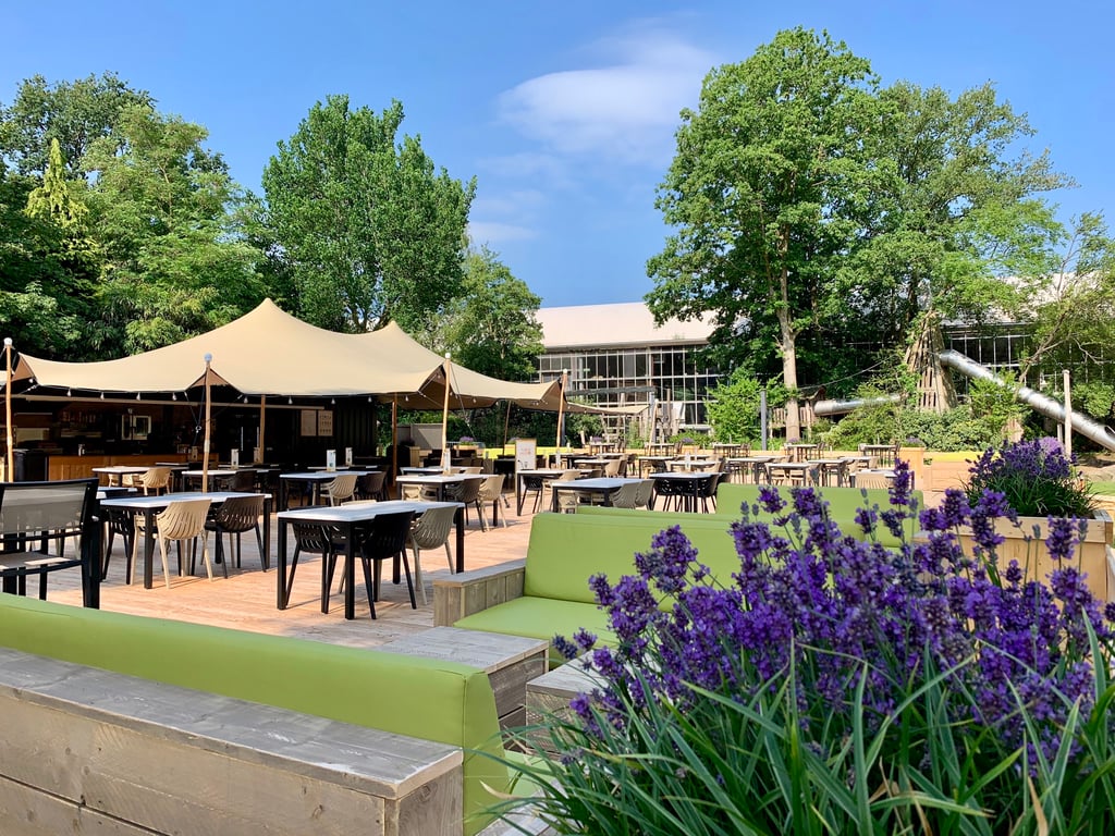Maki Lounge_Ouwehands Dierenpark.jpg
