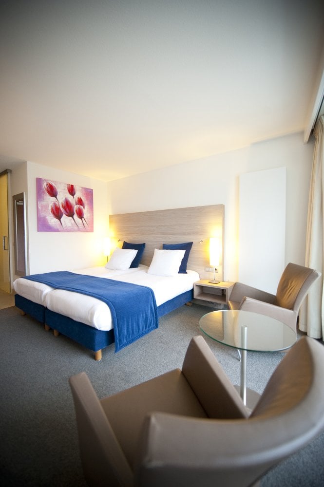 Twin Deluxe hotelkamer Sanadome Hotel & Spa