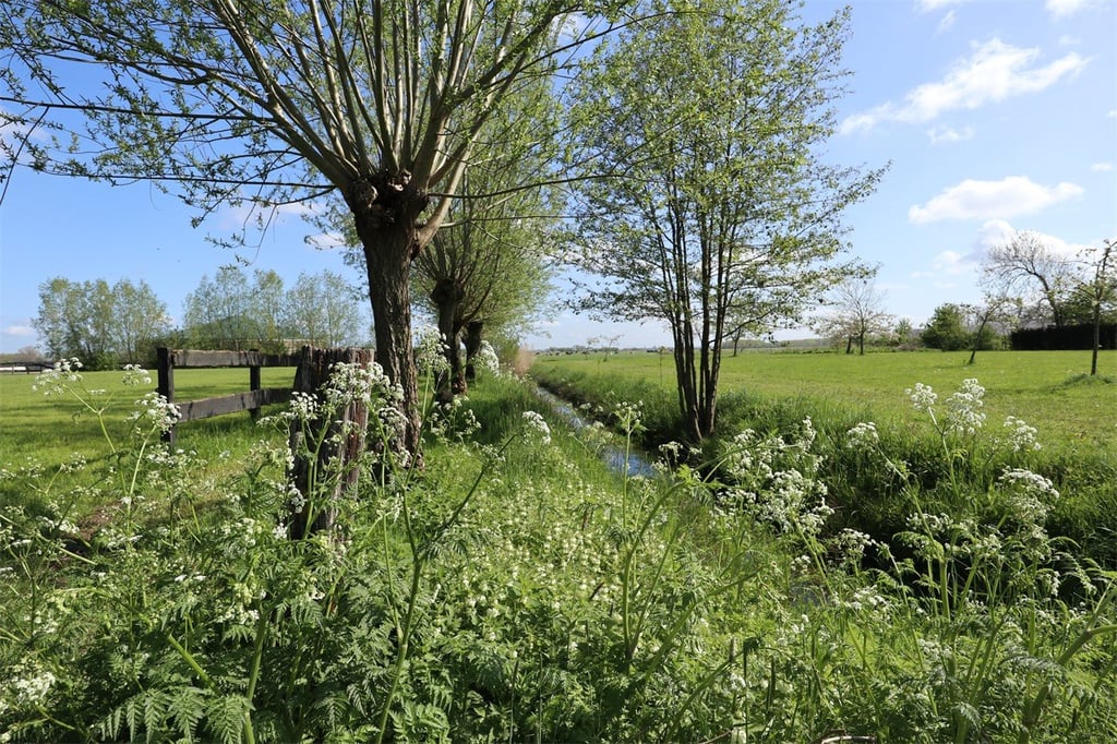 Met Uitzicht1 (1)