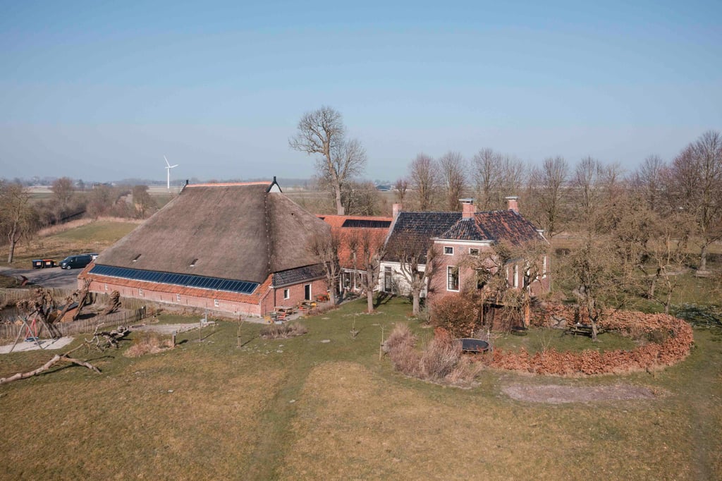 Wierde inclusief terras 