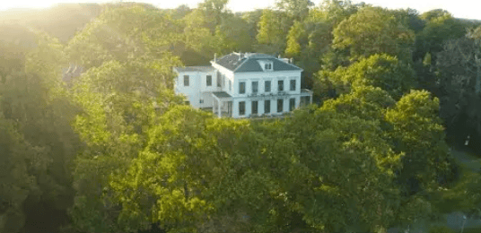 Foto drone pand in de natuur