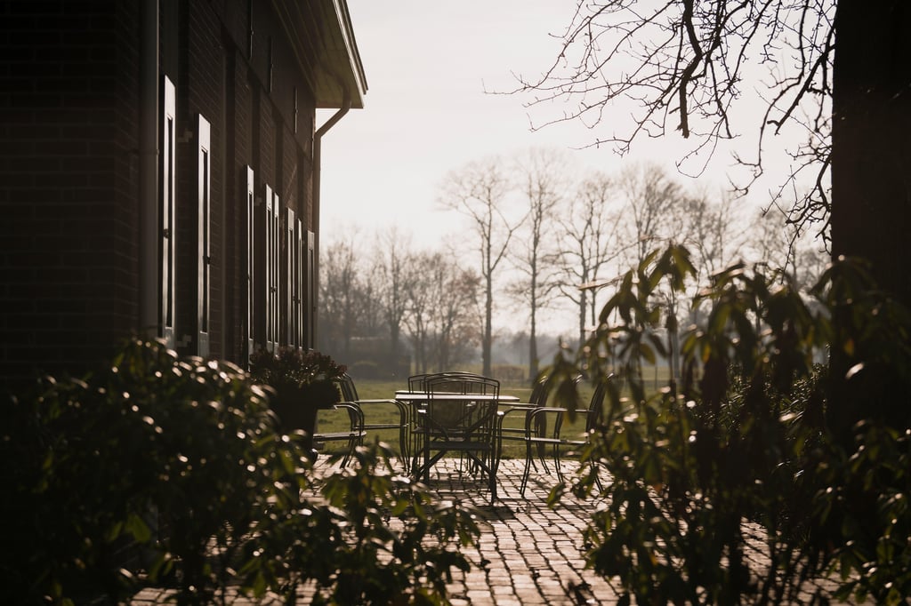 Terras onder de oude perenboom