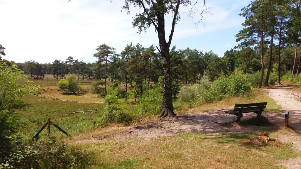 Zeisterbos
