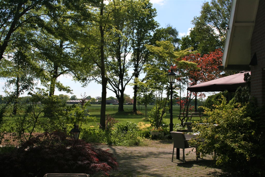 Greune weide terras