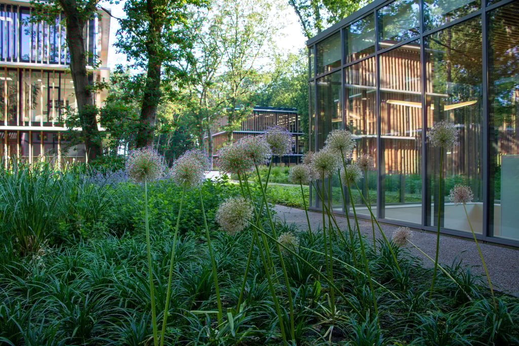 Tuin bij Landgoed Zonneoord