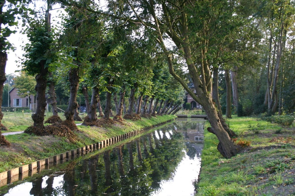 Cannenburch-park-kersendijk-Jan-van-Duinen--2-