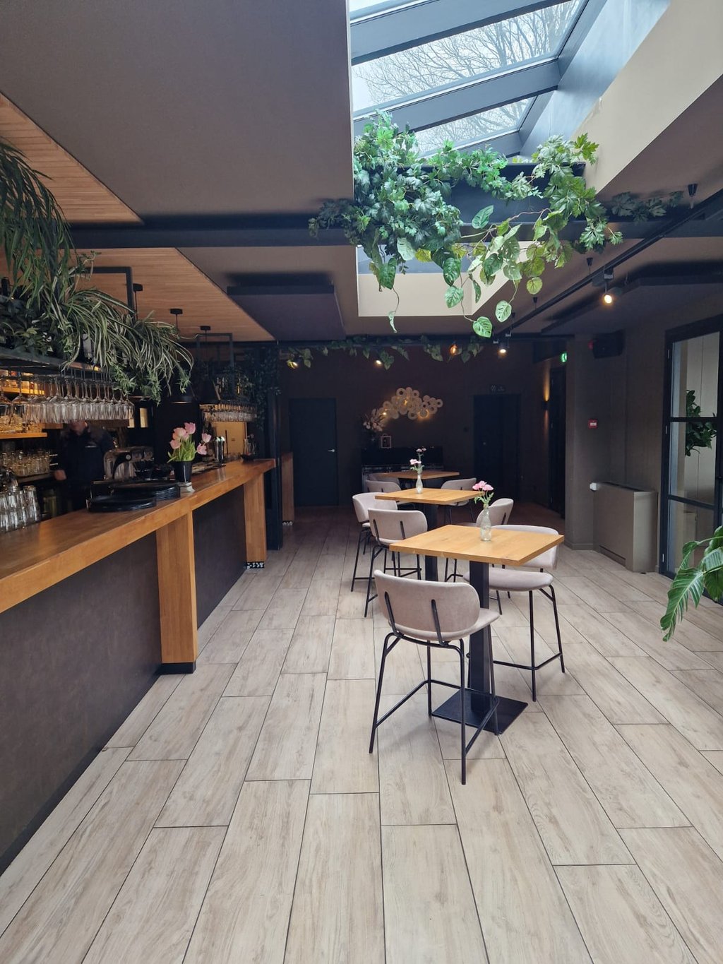 BAR.jpg