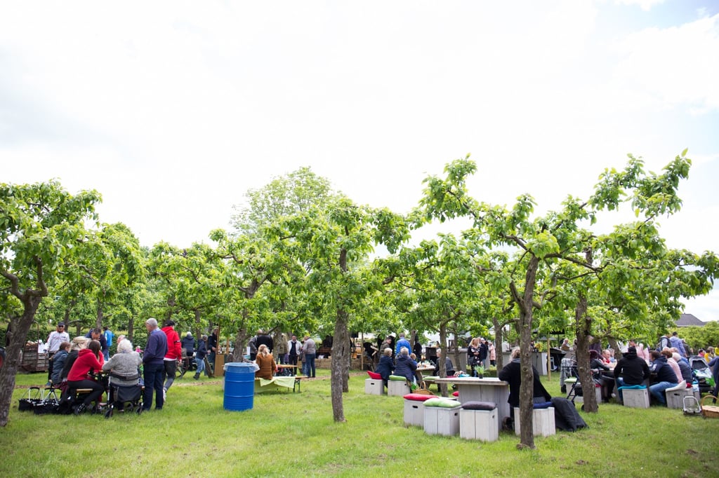 resized_Bloei 2019 (60 van 207).jpg