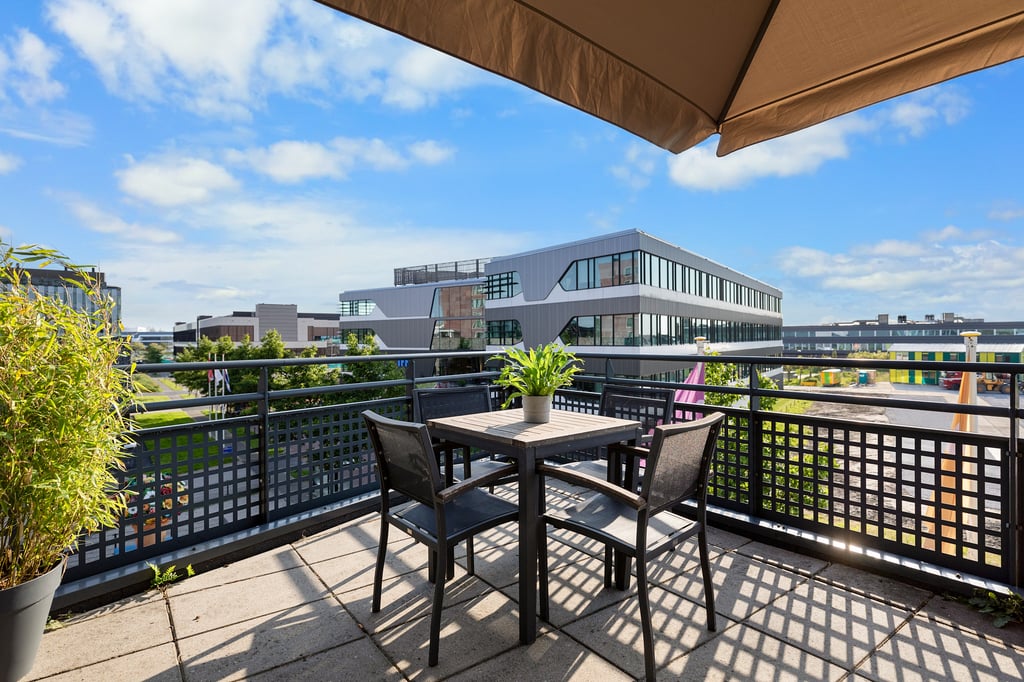 Terras