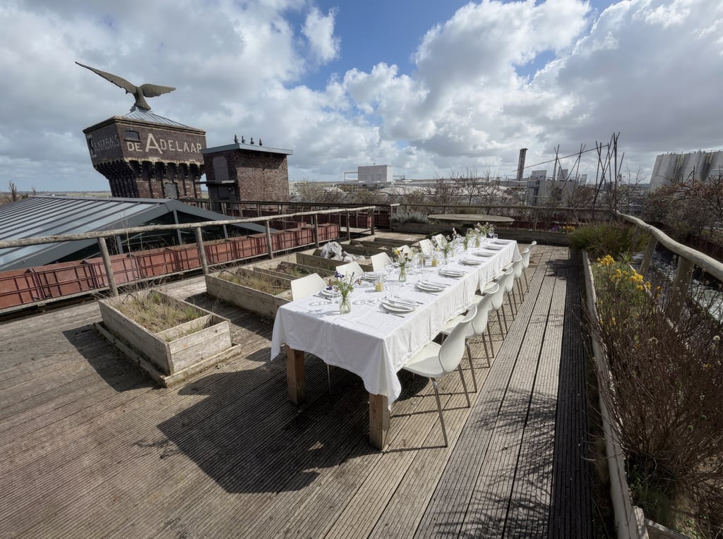 Dakterras De Uitkijk met dineropstelling
