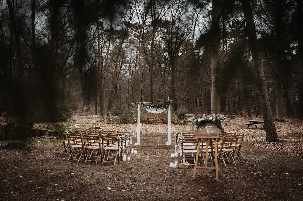 Into The Woods1