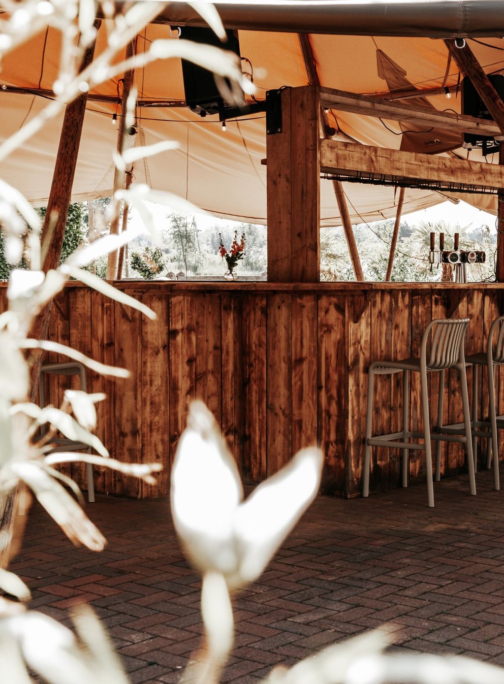Close-up-tipi-terras.jpg