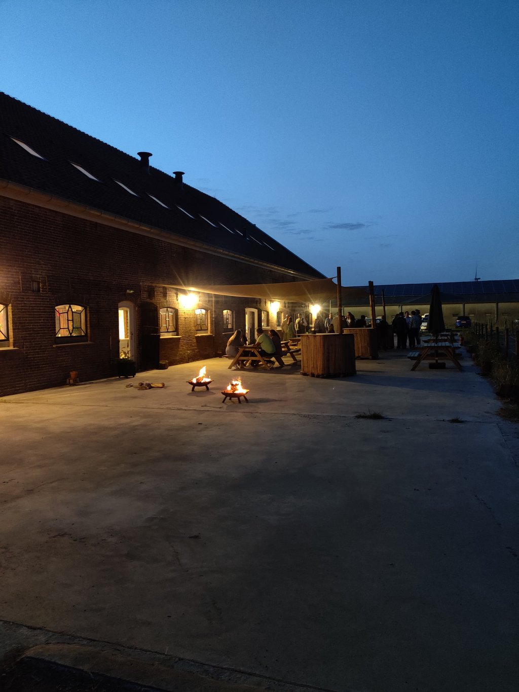 Brielse_Boer_Terras_Avond_Vuurschalen.jpg
