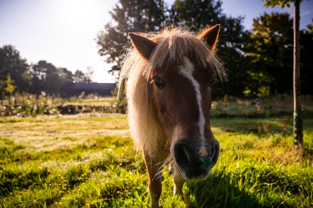 Life-is-Good---ReisplaatjeDSC00614