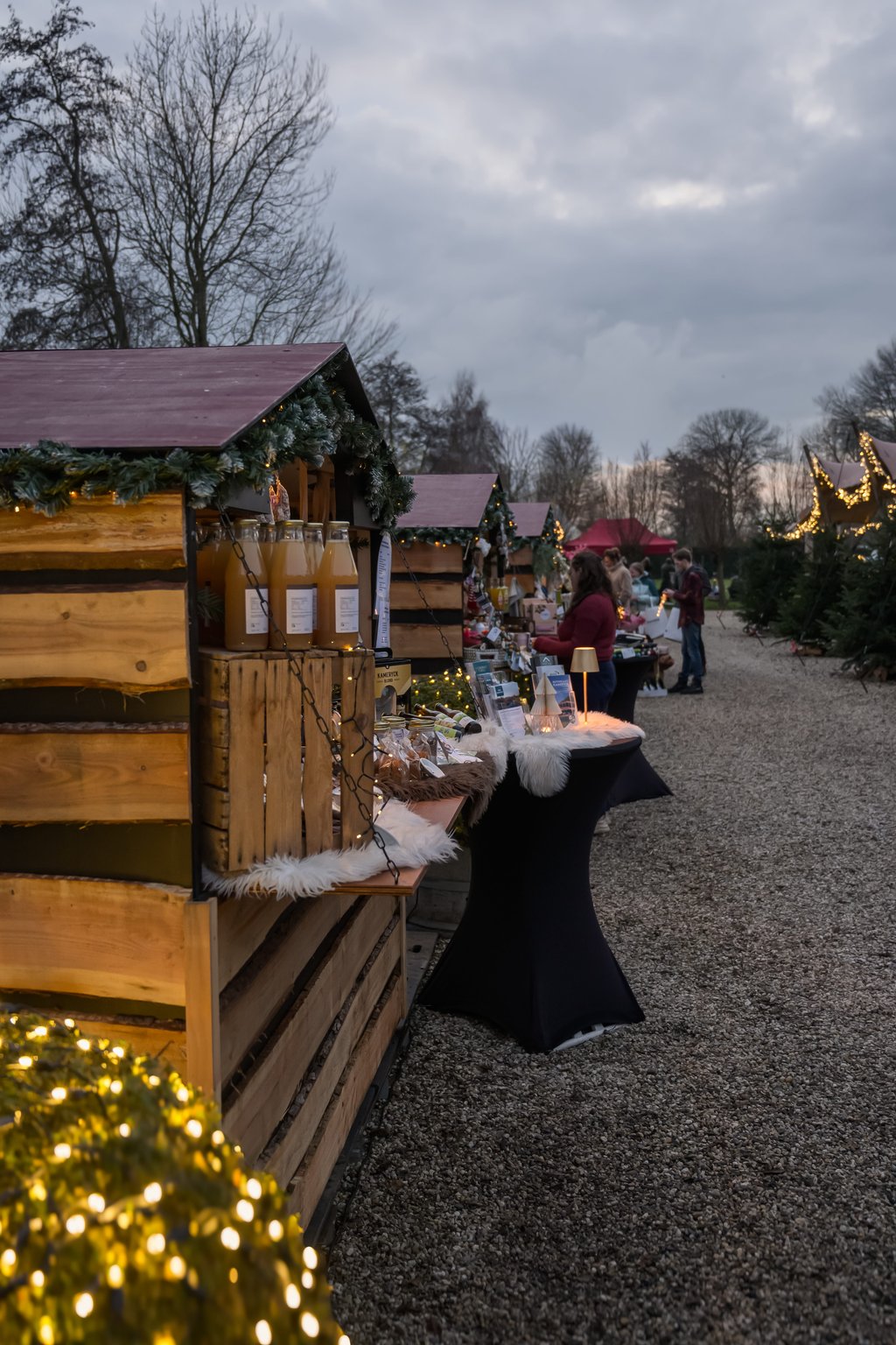 Kameryck_Winterwonderland (13) (1).jpg