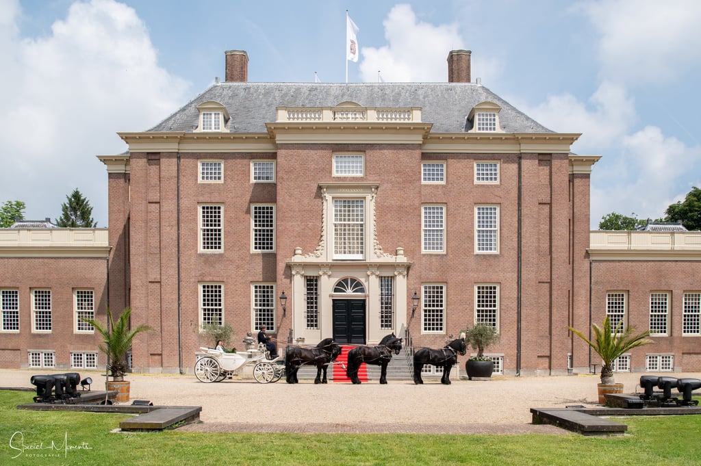Slot Zeist paarden met koets