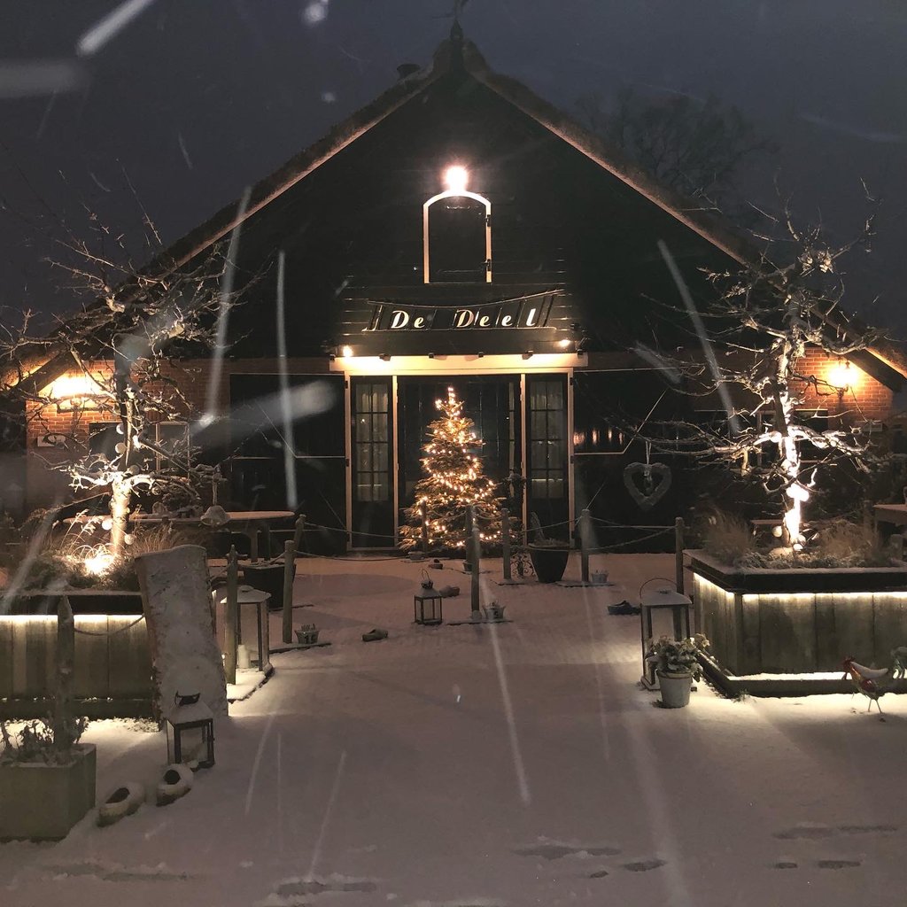 c15e0e22-ac3f-4171-bde8-cd5d2d67cb33.jpg (1)