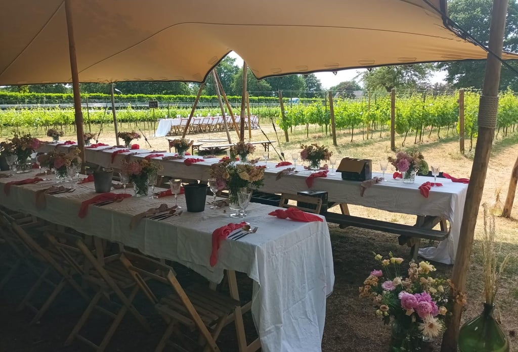 diner opstelling lange tafels 
