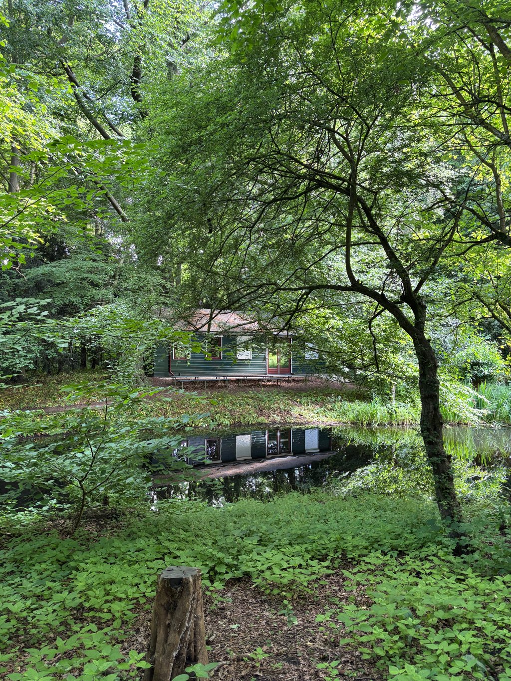 Het vogeleiland