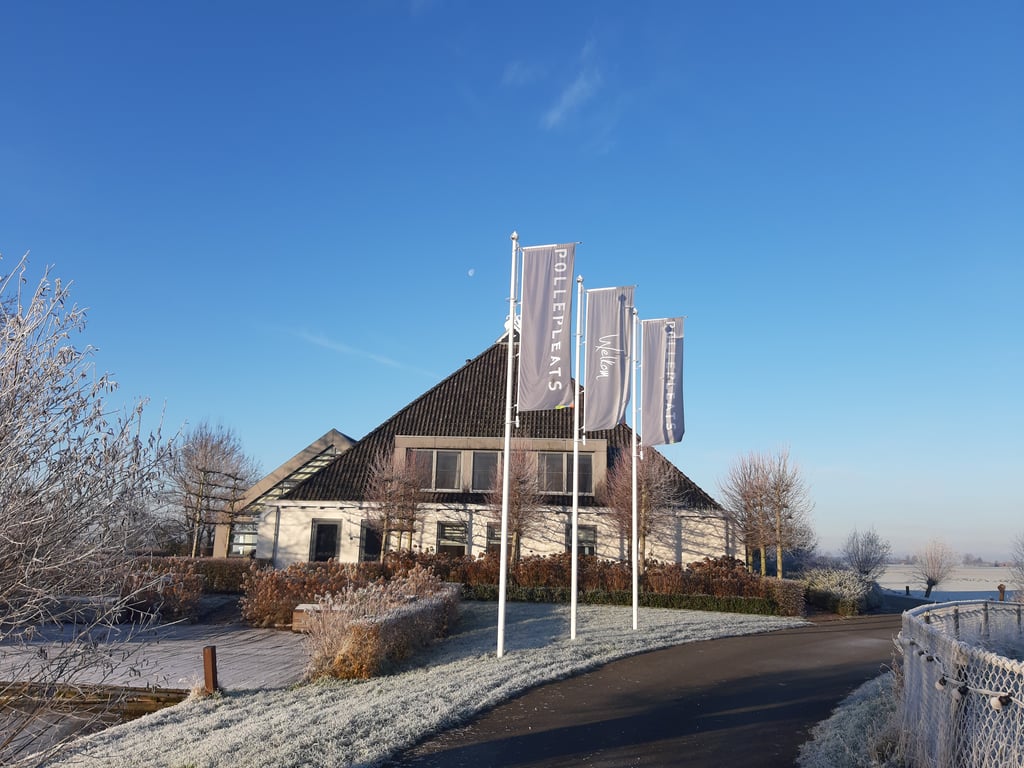 Pollepleats winter.jpg