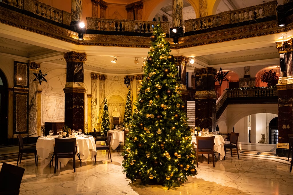 Koninklijk Instituut voor de Tropen - kerstboom (1).jpg