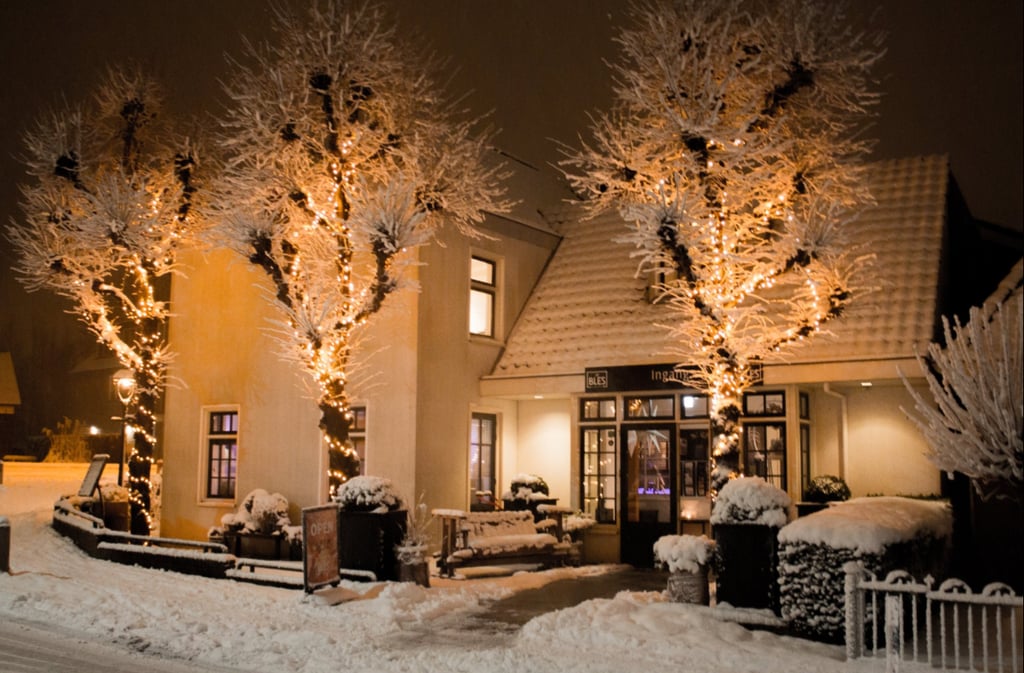 Bles sneeuw.png