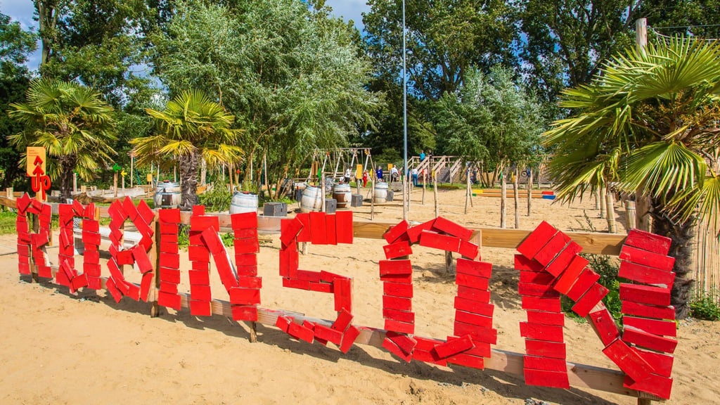Robinson activity at UP festival grounds