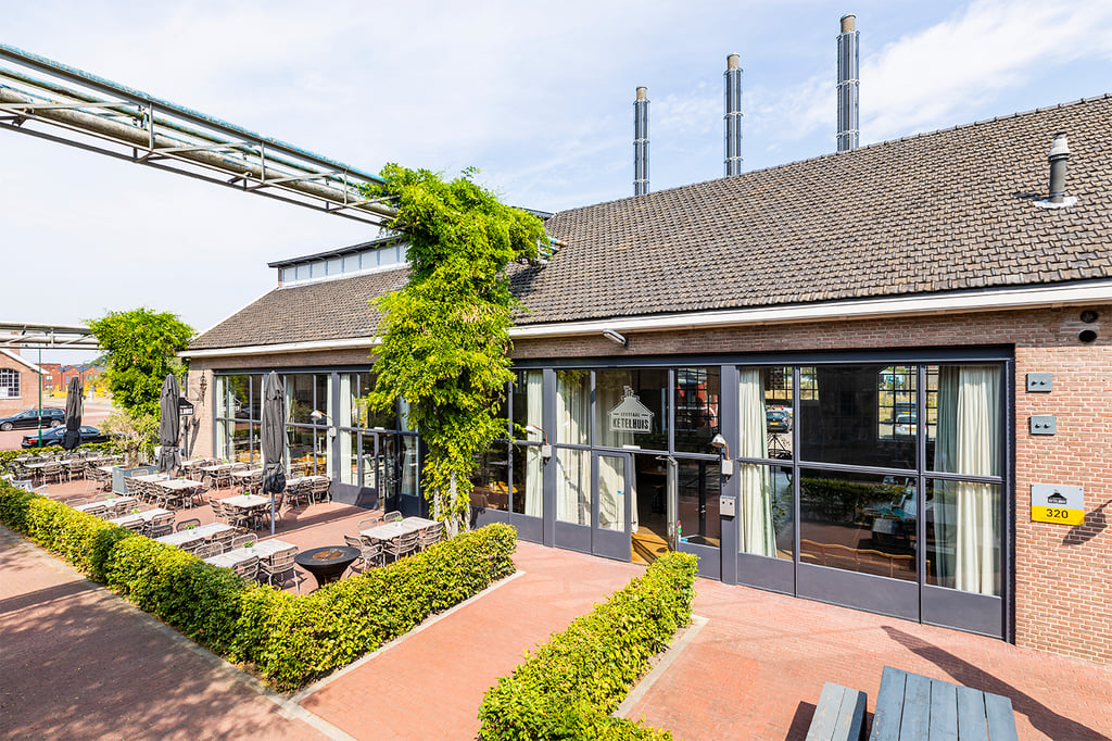 Terras--17- (1)