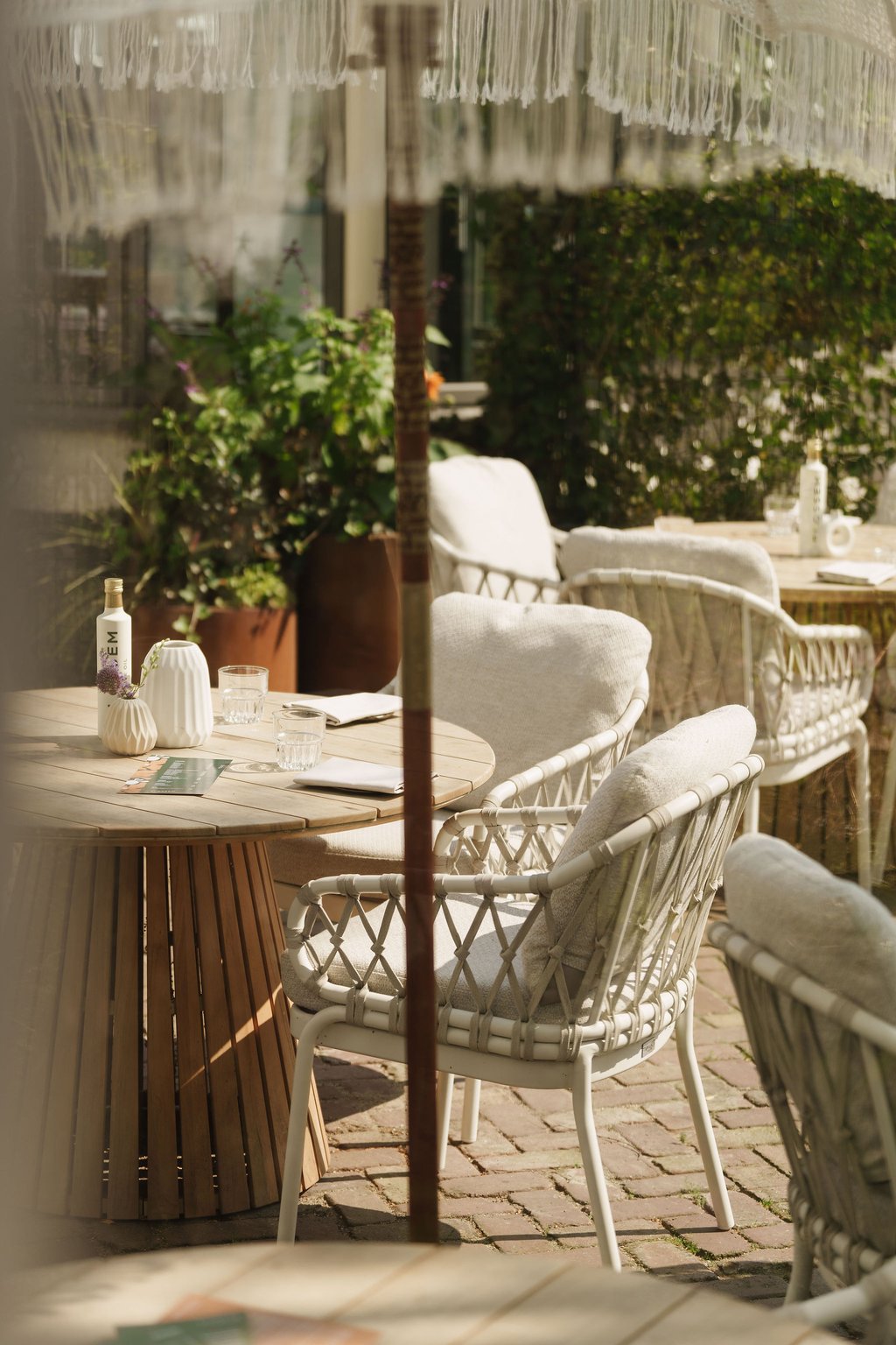 Blossem terras (2)