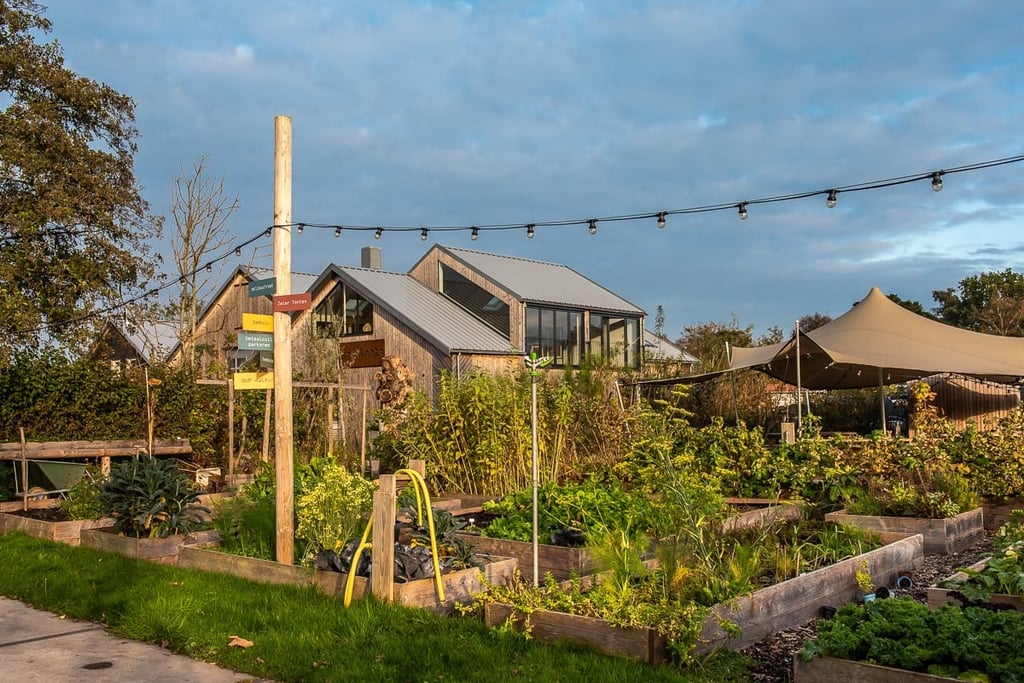 Zwier Moestuin1