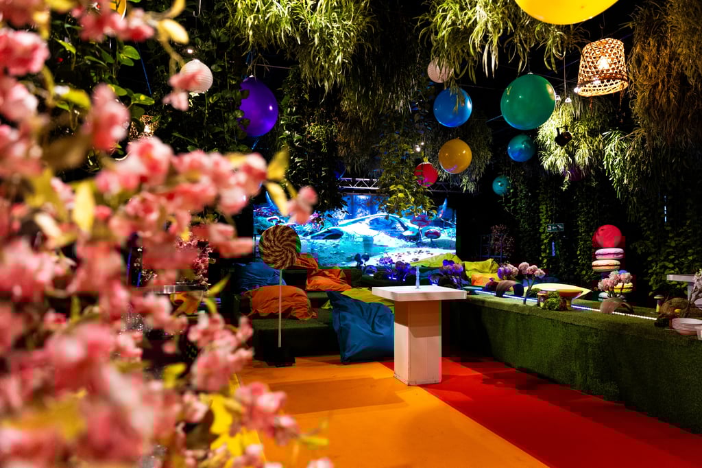 Sonah_4 werelden_(c)Anne van Zantwijk-41.jpg