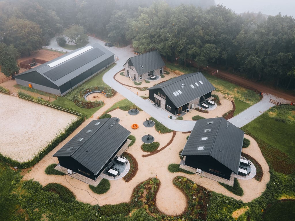 WhatsApp Image 2025-09-30 at 15.12.62.jpeg