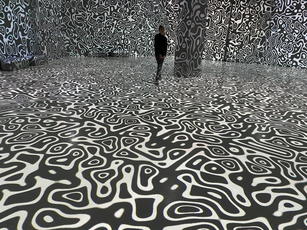 Motion Experience