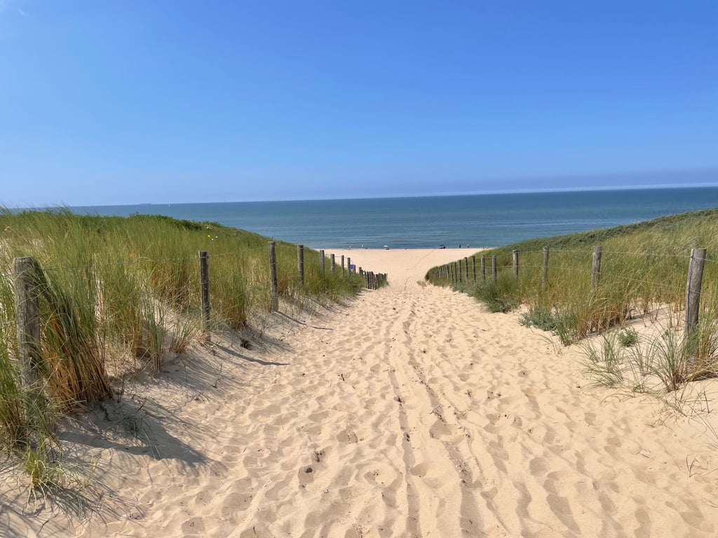 Strand Zandvoort