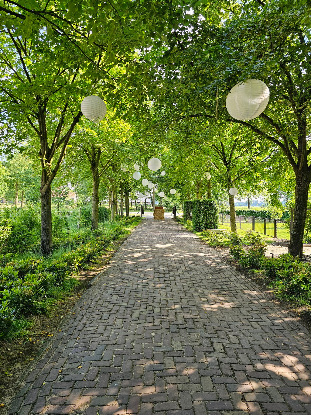 Statige oprijlaan  (1)