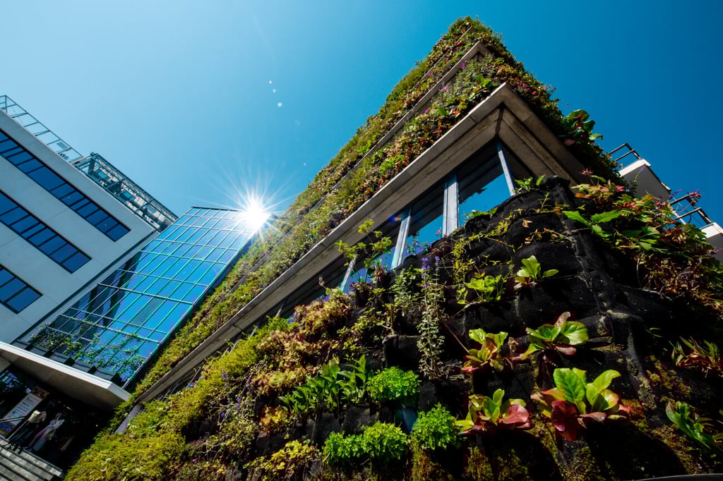 Groene gevel | KAS Meeting - Eventlocatie