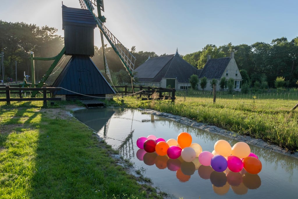 Hoge Noorden | Midlum en molen