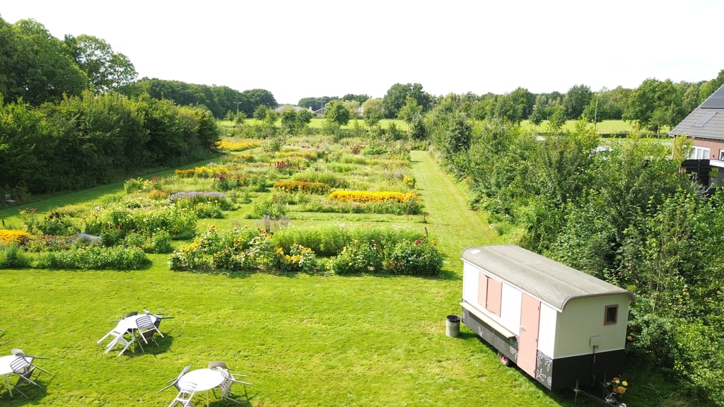 Pluktuin - Op Rimpeler