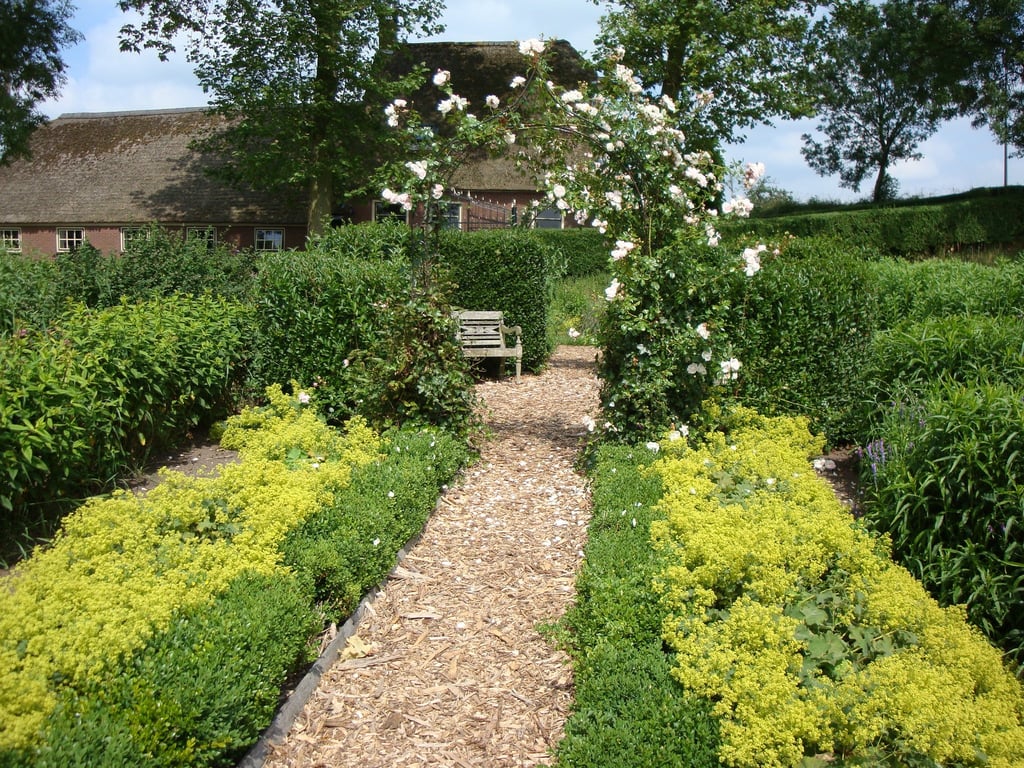 tuin--26-juni-2009-023