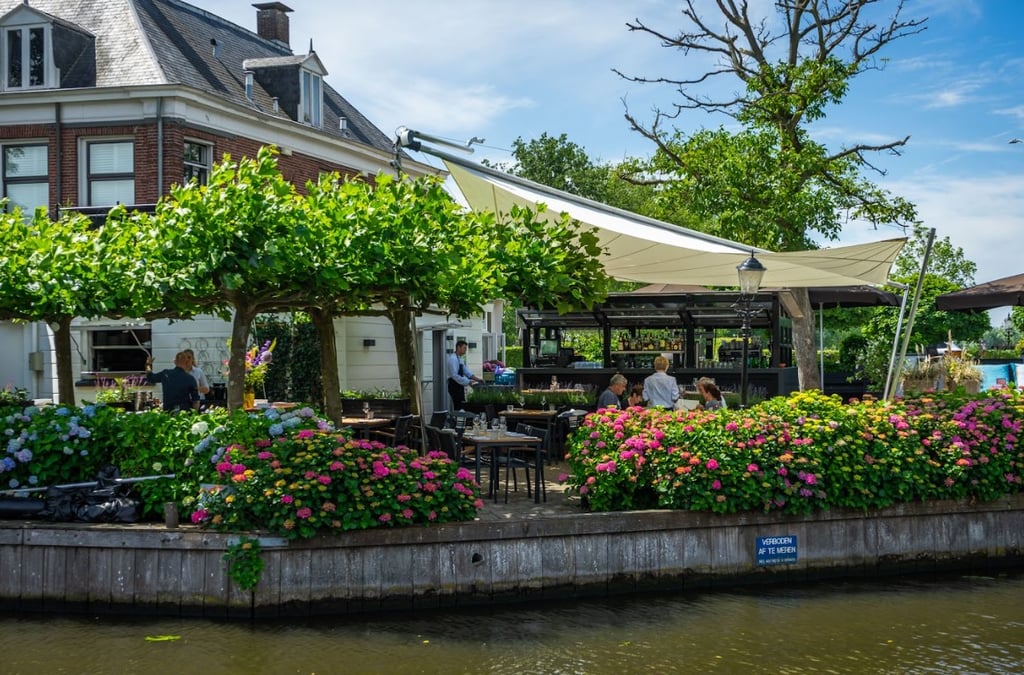 Terras