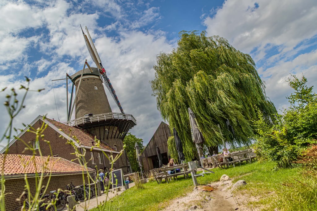 2020-06-27_HompescheMolen_Previews-008.jpg