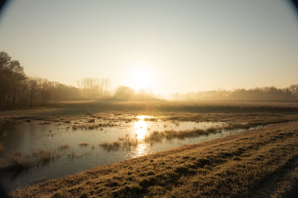 Buiten ondergelopen weiland