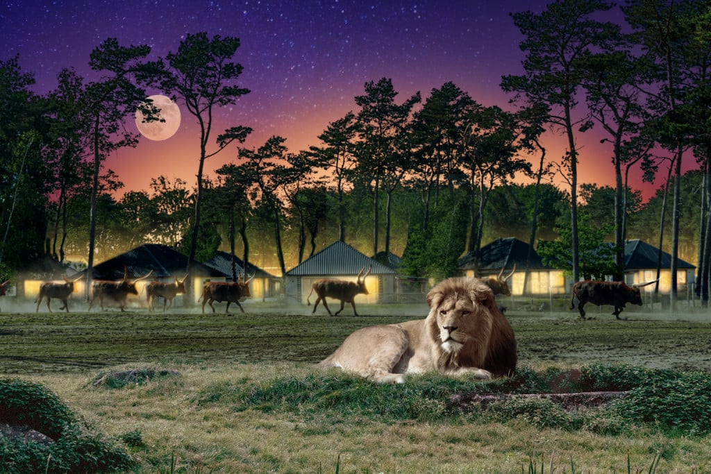 website-2400x1600-srbb-avond.jpg
