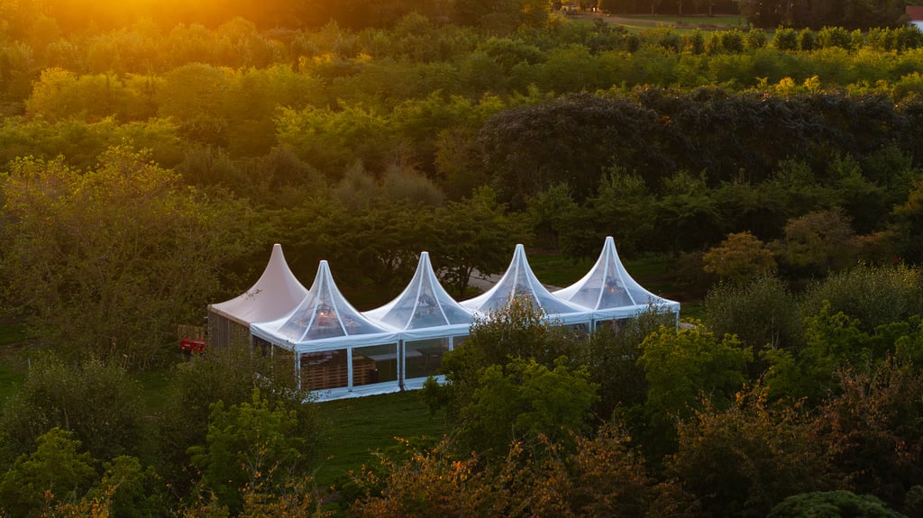 Tent in de kwekerij (1)