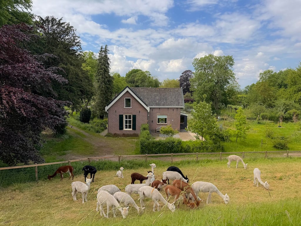 The Cottage