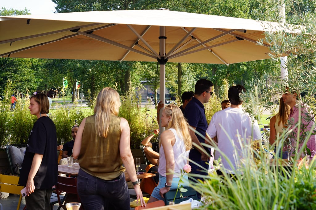 Borrel (2)