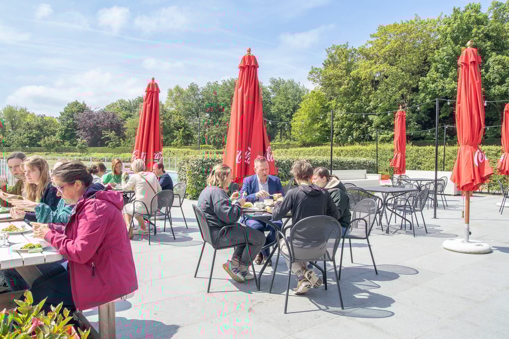 Terras ibis De Haan